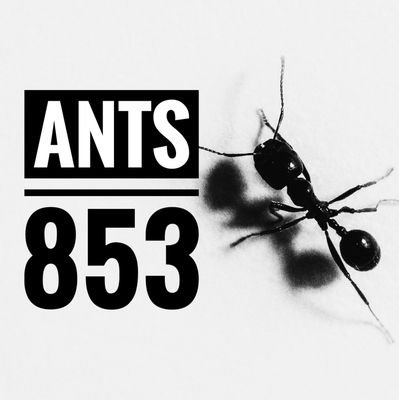 ants853's profile picture. There is treasure everywhere! Join us and together we will discover it!