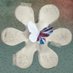 Kids&Us Calella (@kidscalella) Twitter profile photo Kids&Us Calella (@kidscalella) Twitter profile photo