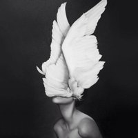 RathaTheGrey (@t_lenfositt) 's Twitter Profile