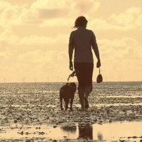 ChriSi (@chrisimigo) 's Twitter Profile Photo