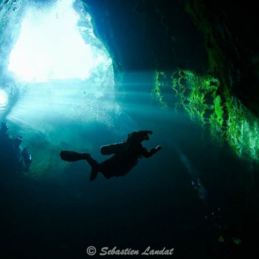 One of the most significant sinkhole dive sites in Australia and renowned throughout the world.