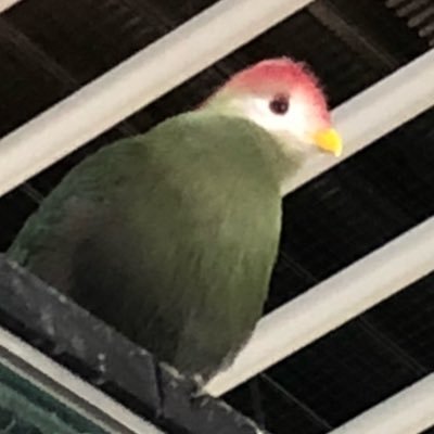 鳥沢あさみさんのプロフィール画像