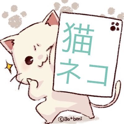 猫ネコさんのプロフィール画像