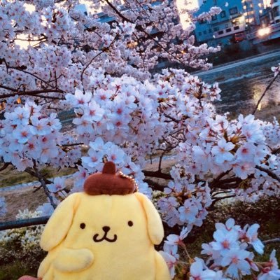 咲夜💛さんのプロフィール画像