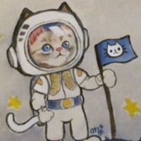 akka miau (@akkamiau) 's Twitter Profile