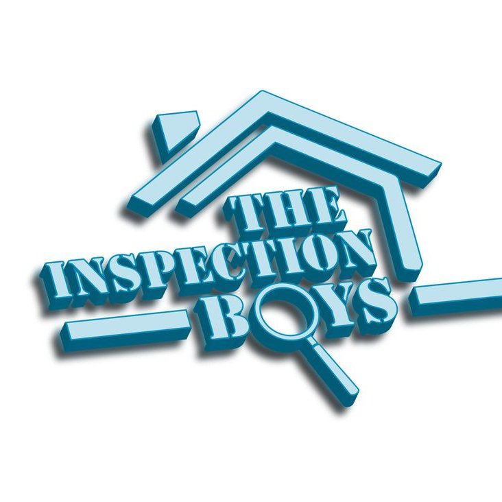 Inspection Boys