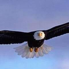Music:Gospel songs is everything to me!plz God don't take it away from me
