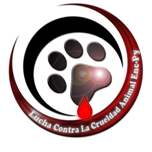 Asociación de Protección y Bienestar Animal 🐶🐱