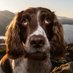 Max Out in The Lake District (@maxinthelakes) Twitter profile photo