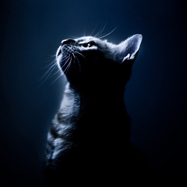 Klim72383248's profile picture. 