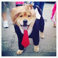 Conservative Pets 🐶(@ConservativePTZ) 's Twitter Profile Photo