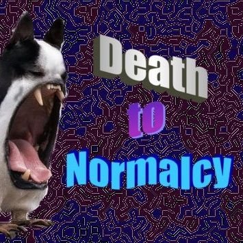 TeamD2N's profile picture. 