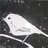 kato_far's profile image