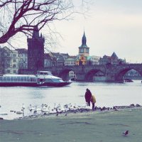 ترافيلرز شيك (@travellerchequ) Twitter profile photo