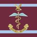 16 Medical Regiment (@AirborneMedics) Twitter profile photo