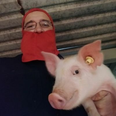 CIIAP1's profile picture. Centro de Investigación Integral en Alimentación Porcina.