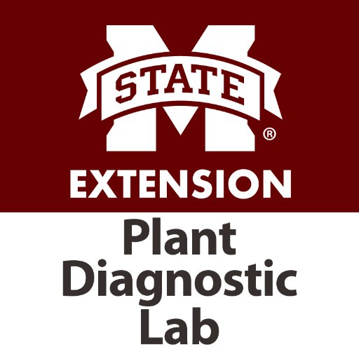 MSUextPlantLab Profile Picture