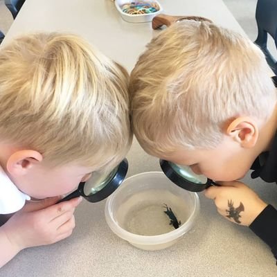 River Valley is an inclusive independent school in the heart of NW Calgary that provides exceptional education for 3-year-olds to grade 6 students.