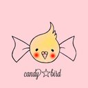 candy☆bird【文鳥2羽と錦花鳥7羽と暮らす鳥好き過ぎるアクセサリー作家】 - @BirdBoof3939 - Twitter