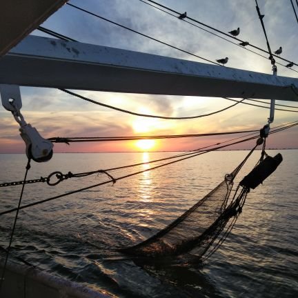 FastT713's profile picture. #saltlife  captain dankzville