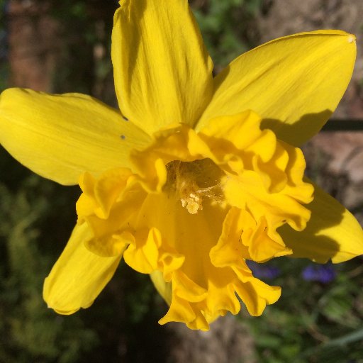 GardenFmm's profile picture. Sunlight + Water + Air = Life