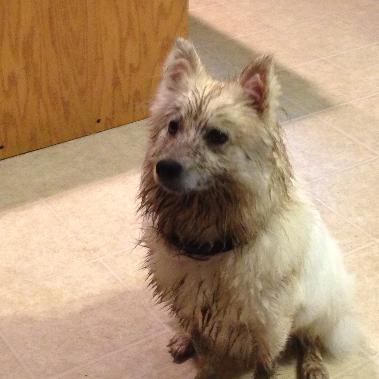 marklewis20471's profile picture. 