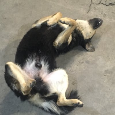 martiimangR's profile picture. 