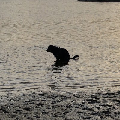 ianmckeown72's profile picture. 