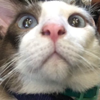 YzaOfficial's profile picture. Professional Photographer, Producer #ModelCentral, Singer-Song Writer 🤗✨