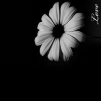 Ashwaq.chem (@ashwaqchem) 's Twitter Profile Photo