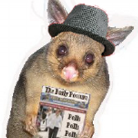 Possum Comitatus (@pollytics) 's Twitter Profile