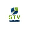 RainLee18500645's profile picture. STV Valve Technology Group Co.,Ltd  supply line extends to ball valve, gate valve, globe valve, check valves, plug valves and butterfly valves