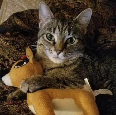 sexy05735's profile picture. hi I am Katie and I  live in Vermont, USA