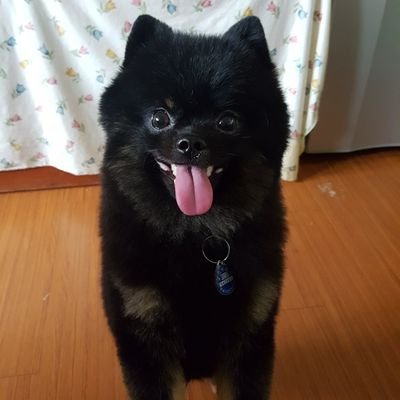 leolai5297's profile picture. 台灣小島鴿子
每天都在懷疑人生的小警察
流浪的國家級攝影師
不會唱歌的吟遊詩人