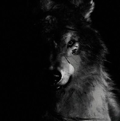 @RELLIK562