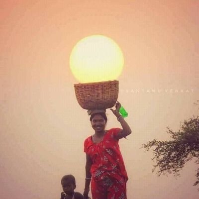 suahfhhvv's profile picture. 