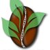 Breedcafs (@breedcafs) Twitter profile photo Breedcafs (@breedcafs) Twitter profile photo
