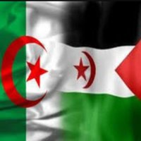 فلسطيني عاشق للجزائر و أهلها الأوفياء (@sq3b6pkfcrhpnoe) 's Twitter Profile