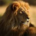Wild Petals Tours (@wildpetalstours) Twitter profile photo Wild Petals Tours (@wildpetalstours) Twitter profile photo