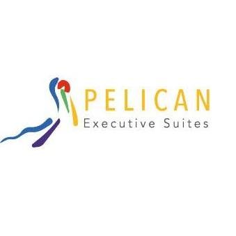 Pelican Stay - Belgium