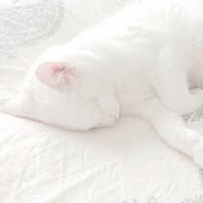 chocolate_free_'s profile picture. 