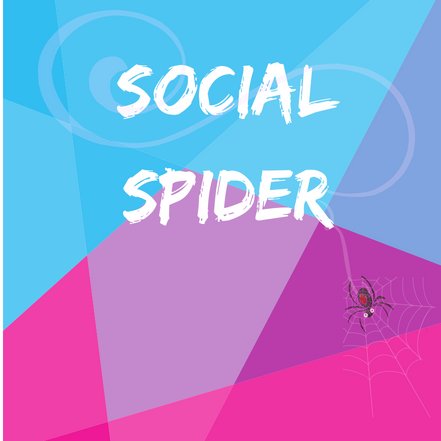 socialspidersol's profile picture. We help our clients to GROW through Social Media
At Social Spider we partner with local businesses to boost brand awareness and customer engagement.