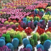 Mo (@almita_0) 's Twitter Profile