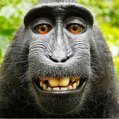 gondelde's profile picture. Mi vida es una continua tragicomedia-musical de aventuras donde ocurren cosas que parecen sacadas de la ficción y a poder ser de alto contenido pornográfico.