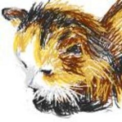 sisuiさんのプロフィール画像