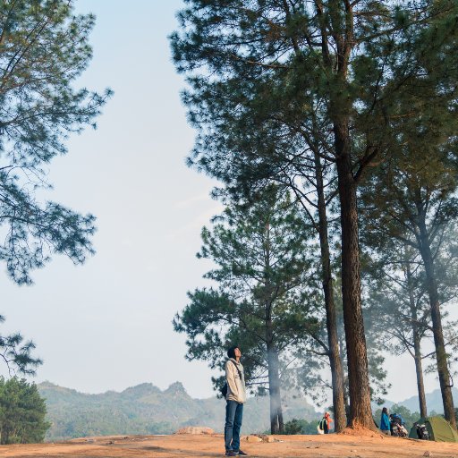 cqlyrics's profile picture. 