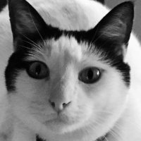 Debra Jackson (@d51doubled) 's Twitter Profile