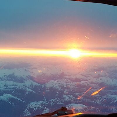 bojangles0117's profile picture. 