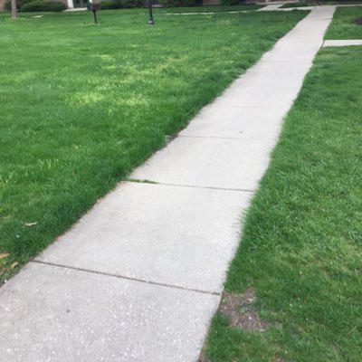 rulesproblem's profile picture. 自治意识的培养 - 男