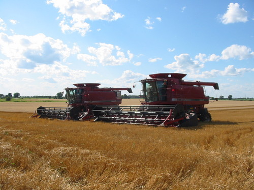 Christian, Father, Husband, Farmer, Conservative.  That's my story and I'm sticking to it.